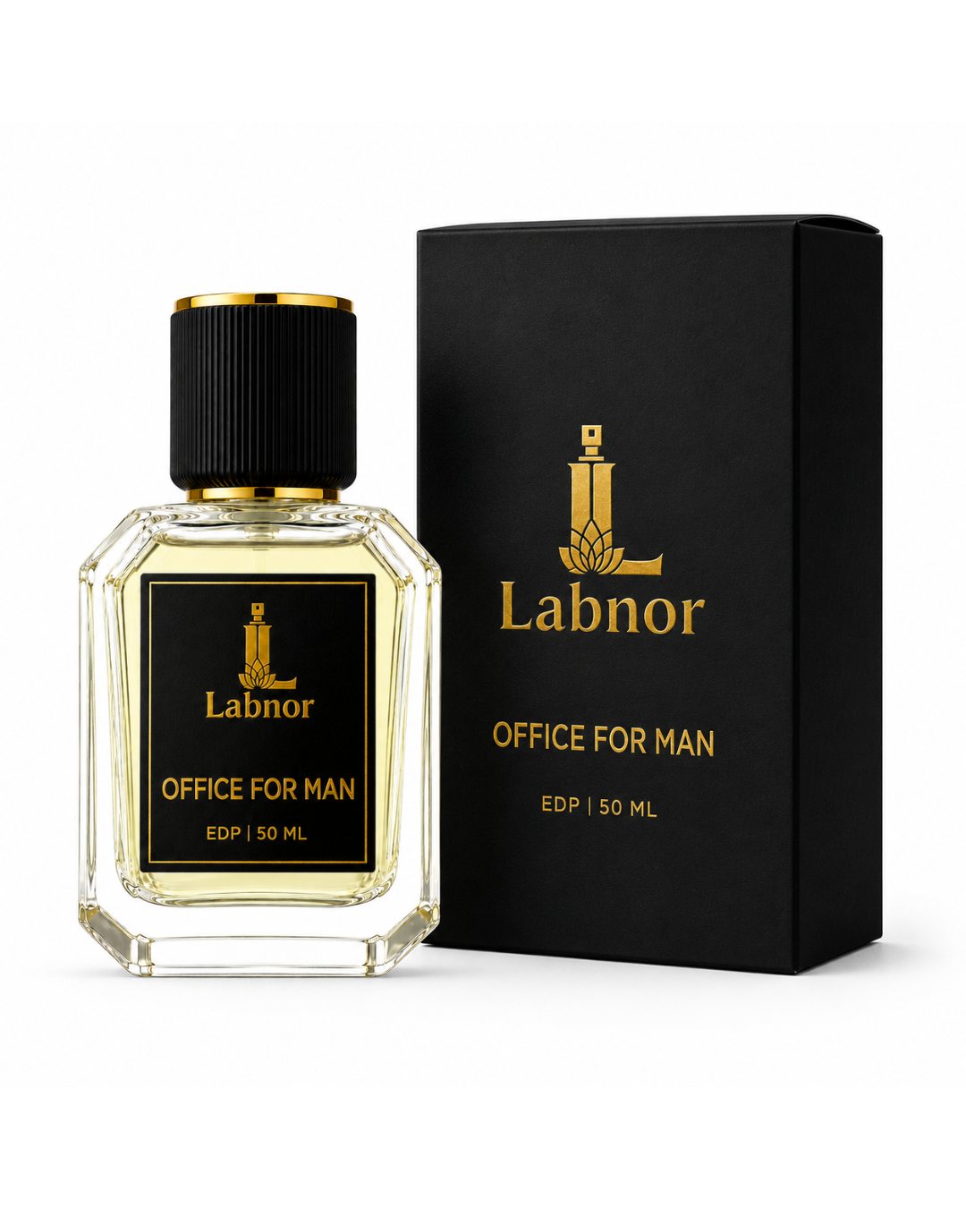 Office for man with box